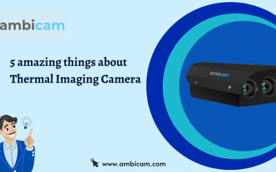 5 amazing things about Thermal Imaging Camera